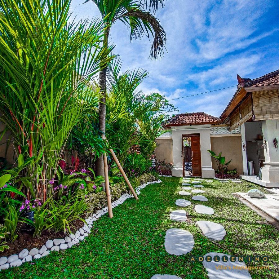 Casa Luwih Newly Renovated 2br With Private Pool In Seminyak