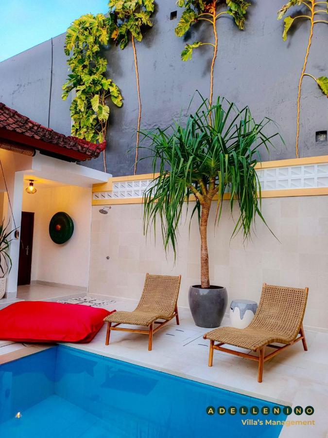 Casa Luwih Newly Renovated 2br With Private Pool In